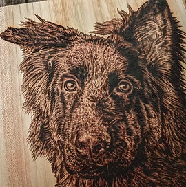 An image of a piece of pyrography art depicting a dogs face with large emotional eyes.